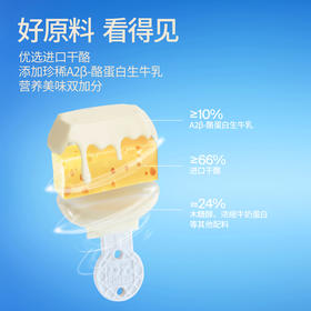 Dr.Cheese 奶酪博士 新白金奶酪棒（双护&双易）90g/袋