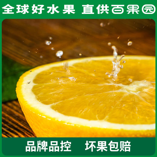 PAGODA百果园 赣南脐橙（中）4.5斤彩箱装 商品图4