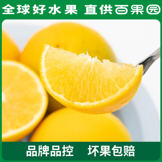 PAGODA百果园 A级-麻阳冰糖橙20粒礼盒装 商品图2