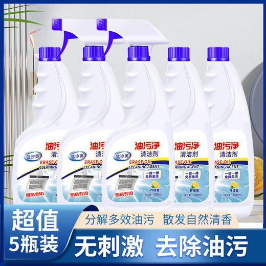 【抽油烟机清洗剂】去油污清洁剂 强力油烟净厨房重油污净 泡沫除油 商品图0