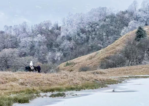 【亲子徒步】正当玩雪时！12.29甲尔猛措、熊猫坪！168元起，包含一日活动+大巴+保险，4岁以上亲子家庭可报，车辆中转费30元/人需现场自费 商品图4