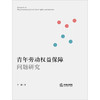 青年劳动权益保障问题研究 李勤著 法律出版社 商品缩略图1