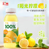 汇源100%阳光柠檬混合果汁300ml*8瓶 商品缩略图4