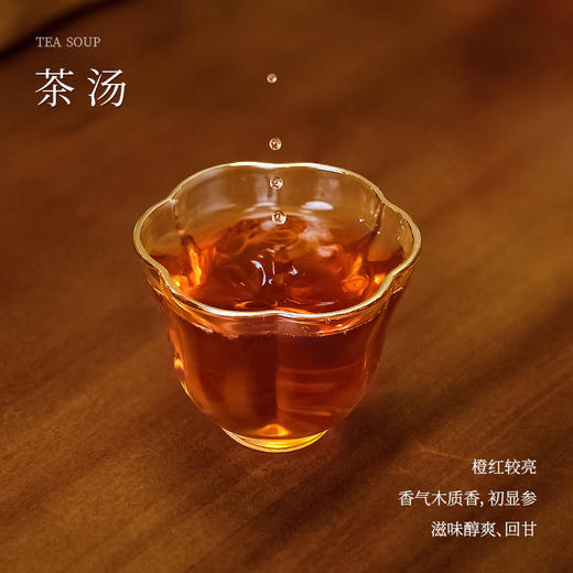 懂茶帝老六堡茶大师茶韦洁群老师2015年木质香陈香六堡茶60g/罐 商品图2