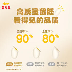 金龙鱼 胚芽米 全家健康主食 0.6斤x16 锁鲜独立礼盒装 90%留胚 免淘洗 /粮油调味 /米 /胚芽米