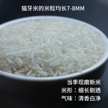 天汇优农地标正宗猫牙米一级长粒香米25年秋季新米煲仔饭炒饭大米年货送礼 /粮油调味 /米 /丝苗米 商品图0