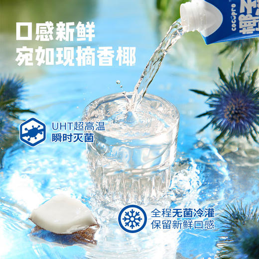 椰子知道100%椰子水添加香水椰泰国进口NFC椰青果汁电解质饮料330ml*12瓶 商品图2