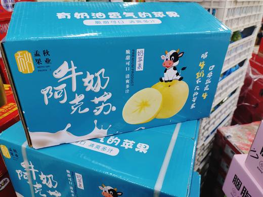小箱牛奶阿克苏一箱 商品图0