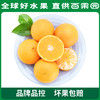 PAGODA百果园 A级-象山红美人蜜柑（大）12粒礼盒装 商品缩略图1
