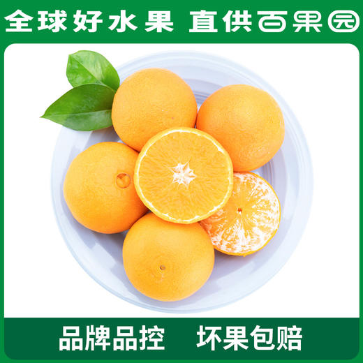 PAGODA百果园 A级-象山红美人蜜柑（大）12粒礼盒装 商品图1