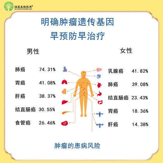 【蓝十字】瑞昊生物 肿瘤+心脑血管疾病基因检测 商品图1