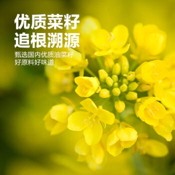 西王食用油 小榨甄香菜籽油5L 非转基因 物理压榨 食用油 /粮油调味 /食用油 /菜籽油 商品图1