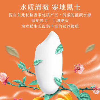 十月稻田 当季新米 长粒王香米 10斤（东北大米 长粒香米 5公斤） /粮油调味 /米 /长粒香米 商品图5