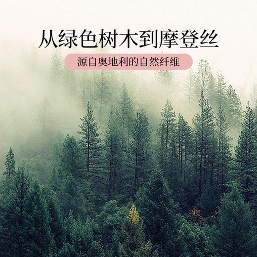 雅芳婷摩登丝睡之锦囊床笠款四五件套秋冬丝滑亲肤被套薄被芯套件 商品图2