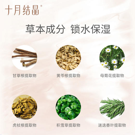 十月结晶雨林面霜 SH932 商品图5