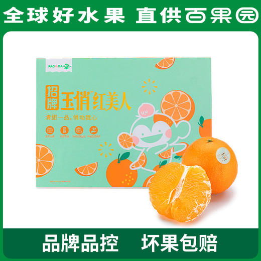 PAGODA百果园 招牌-玉俏红美人蜜柑（中）15粒礼盒装 商品图0