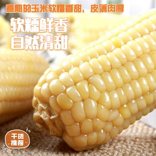 哈粮优品甜糯鲜食玉米 商品图2