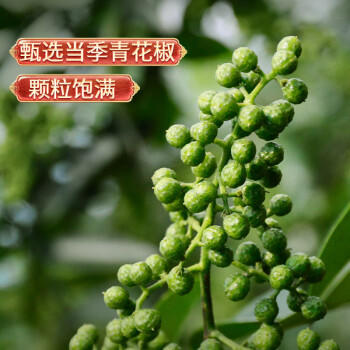 川珍青花椒粉500g瓶装 藤椒麻椒纯花椒粉青花椒面 烧烤撒料火锅调料 /粮油调味 /调味品 /复合调味料 商品图4