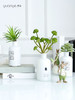 仿真绿植花艺假花餐桌摆件客厅小摆设盆栽简约多肉家居茶室装饰 商品缩略图4