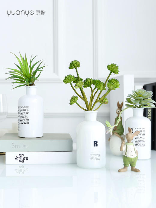 仿真绿植花艺假花餐桌摆件客厅小摆设盆栽简约多肉家居茶室装饰 商品图4