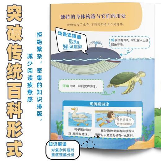 《儿童科普分级阅读》第1-3辑  共33册 科学分级  涵盖太空、军事、科学、生物、地理、动植物、人体、人文生活等知识 培养孩子全面的科学素养 商品图3