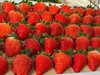 【分仓直发包邮】攀枝花露天草莓3斤中大果 商品缩略图4