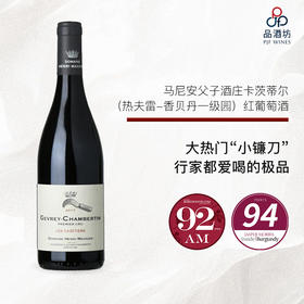 2016 Henri Magnien Les Cazetiers Gevrey-Chambertin Premier Cru 马尼安父子酒庄卡茨蒂尔（热夫雷-香贝丹一级园）红葡萄酒