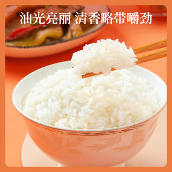 十月稻田 当季新米 长粒王香米 10斤（东北大米 长粒香米 5公斤） /粮油调味 /米 /长粒香米 商品图6