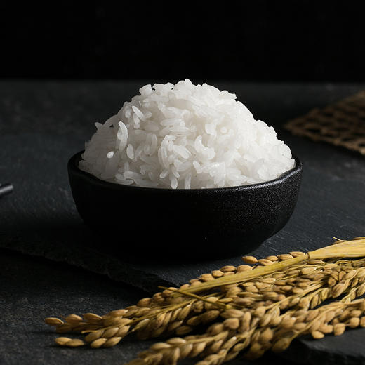 【圳品】深粮五常大米多喜五常稻花香稻大米5kg  两件起售 商品图4