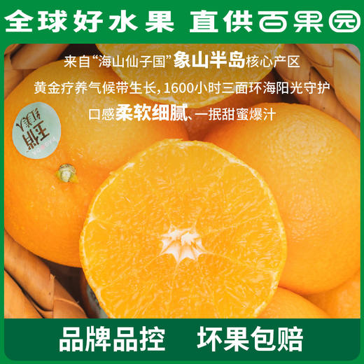 PAGODA百果园 招牌-玉俏红美人蜜柑（中）15粒礼盒装 商品图4