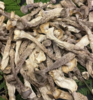 寿宁鹿茸菇（180g/袋） 商品缩略图1