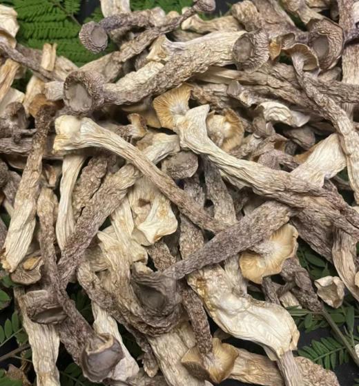 寿宁鹿茸菇（180g/袋） 商品图1