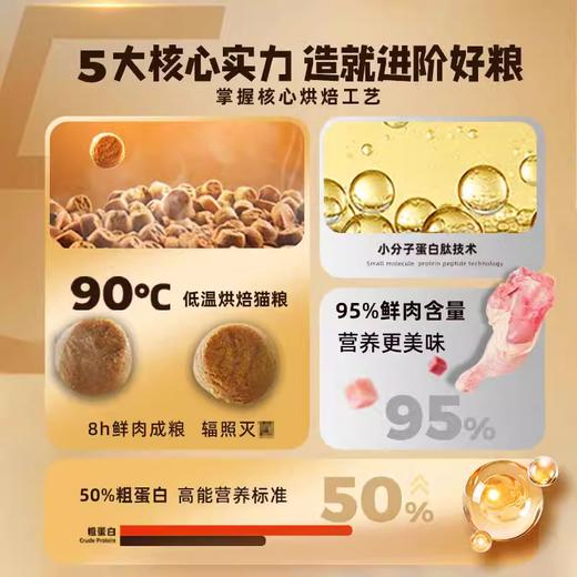 灵动低温烘焙全价猫粮2kg成猫幼猫通用无谷鲜肉营养全期猫咪主粮 商品图4