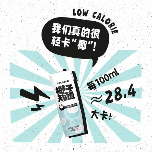 椰子知道0糖鲜椰汁椰奶饮料含电解质大瓶装家庭装聚餐1L*2瓶 商品图2