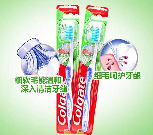 高露洁细毛护龈单支装牙刷 商品图0