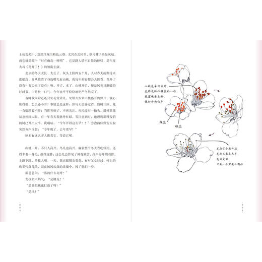 《自然会有答案》林语尘著 首部自然随笔和手绘画集 早鸟价 商品图4