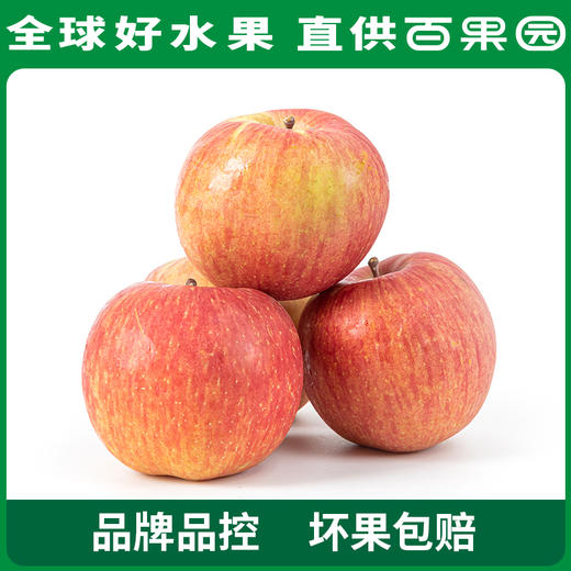 PAGODA百果园 阿克苏蜜心富士（小）8斤彩箱装 商品图1
