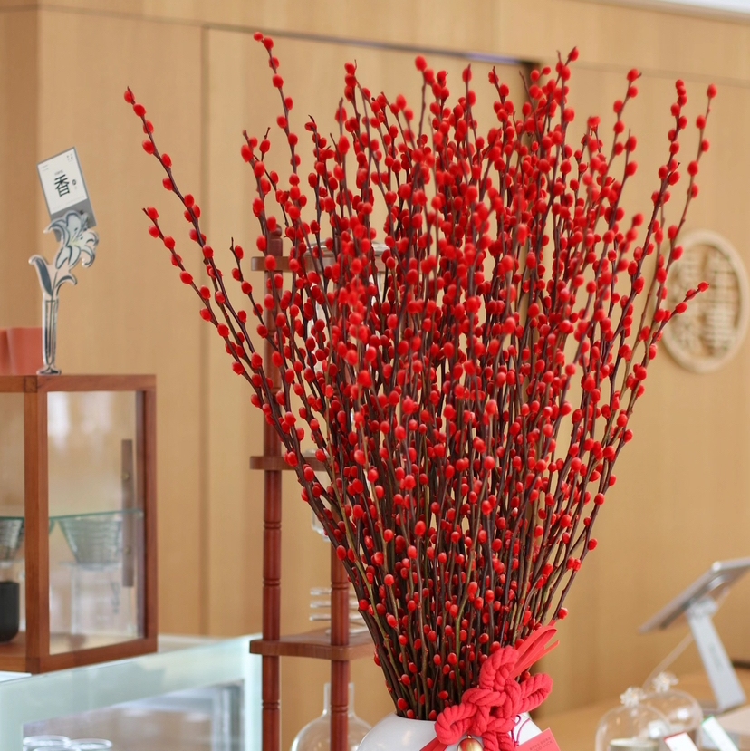 【 AB级银柳.都在这】10支/份.长约60-70cm（买两份送白色小花瓶1个）