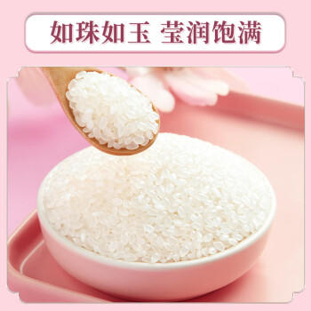 十月稻田 香稻贡米 东北大米 5kg*2/箱装 香米 粳米 10kg 20斤 /粮油调味 /米 /小町米 商品图4