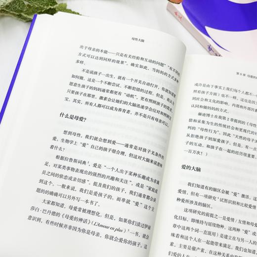 母性大脑 乔蒂·帕鲁斯基 探寻妈妈们大脑的改变 揭示生育对女性大脑的重塑与改变 亲子 商品图5