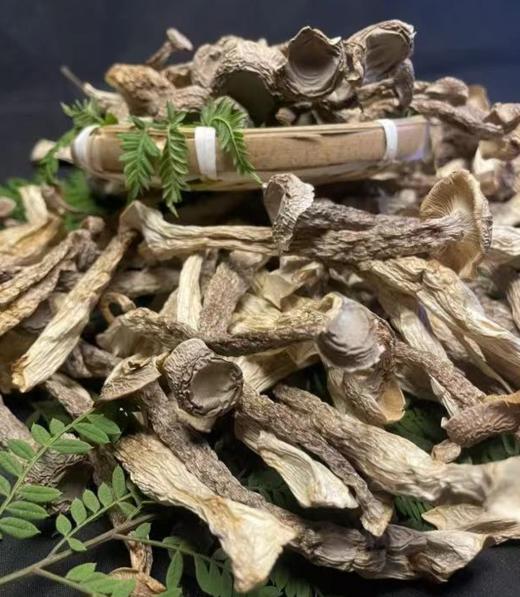 寿宁鹿茸菇（180g/袋） 商品图2