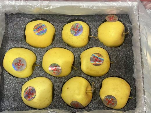 藏地冰糖心维纳斯（8个装） 商品图0