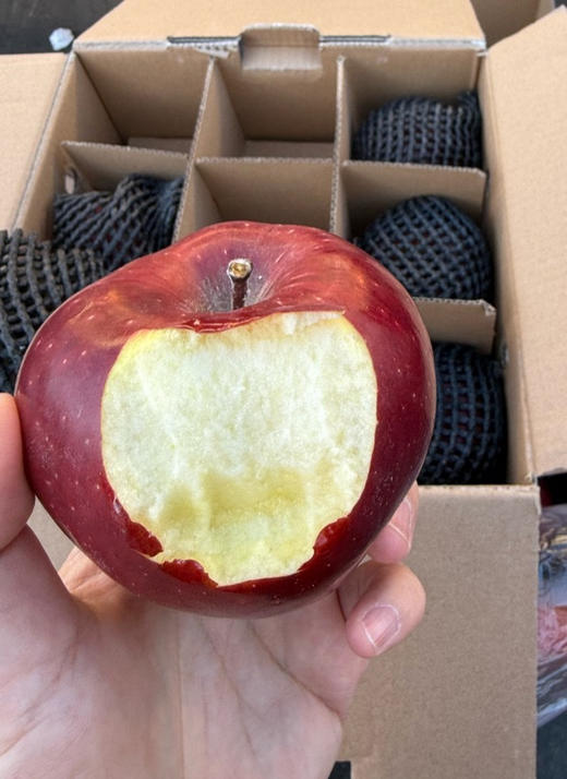 花牛苹果🍎来自全国核心的天水花牛村，不打蜡、不催熟、不泡药，果肉越放越粉越香甜，细腻的就像一口抿化一样的～一箱8斤左右 商品图0