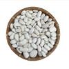 云南高原白芸豆  香糯可口 300g*袋 商品缩略图6