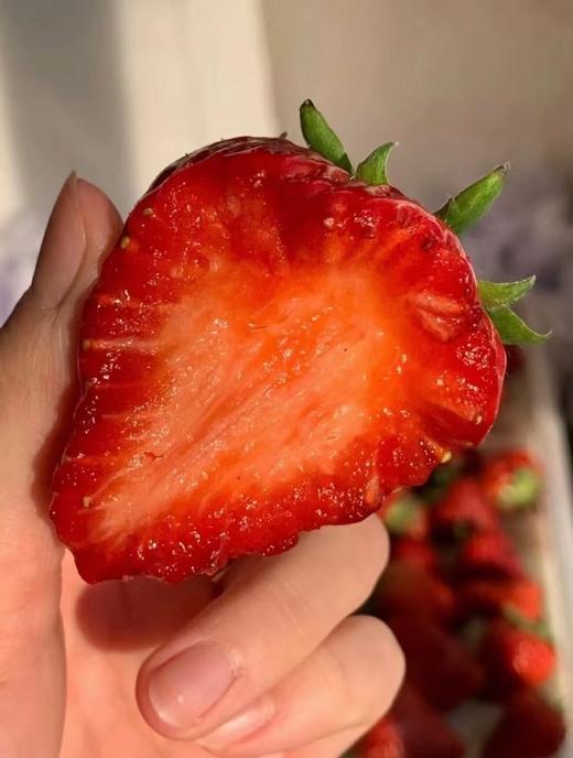 【分仓直发包邮】攀枝花露天草莓3斤中大果 商品图2