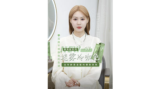 香风-17迷雾冷咖色系 日常随性松弛感的色彩印象 百搭不挑肤色的色调属性 商品图0