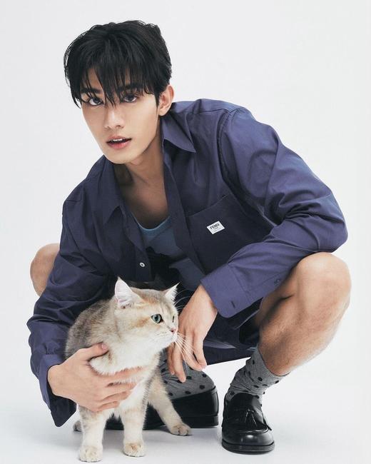 F家 Roma 标牌衬衫（JN） 商品图2