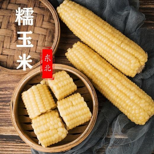 哈粮优品甜糯鲜食玉米 商品图0