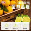 汇源100%阳光柠檬混合果汁300ml*8瓶 商品缩略图2