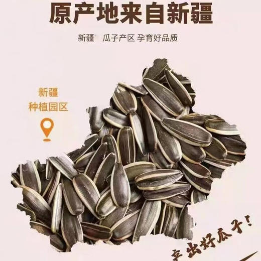 香叭香原味瓜子 500g 商品图1